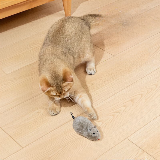 Interactive Wind-Up Mouse Toy for Cats - Fun and Engaging Playtime